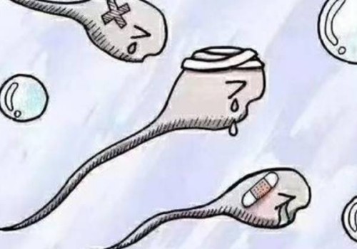 泌乳素含量过低对备孕的危害比预想中大多了，最好提前进行调养