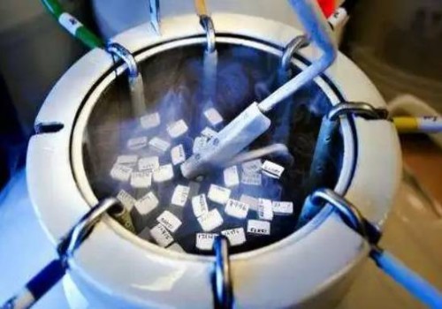 试管胚胎有畸形胚胎还能用吗,试管胎儿畸形是什么原因造成的