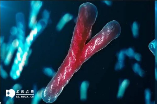 上海供卵试管：试管移植之后的腹痛是因为着床吗？找准原因对症下药最重要