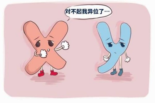 假性怀孕会显示两杠吗？假性怀孕和真正怀孕主要的区别是这些
